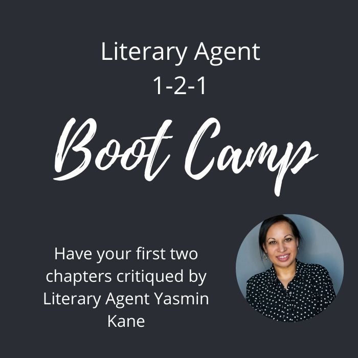 Literary Agent Boot Camp