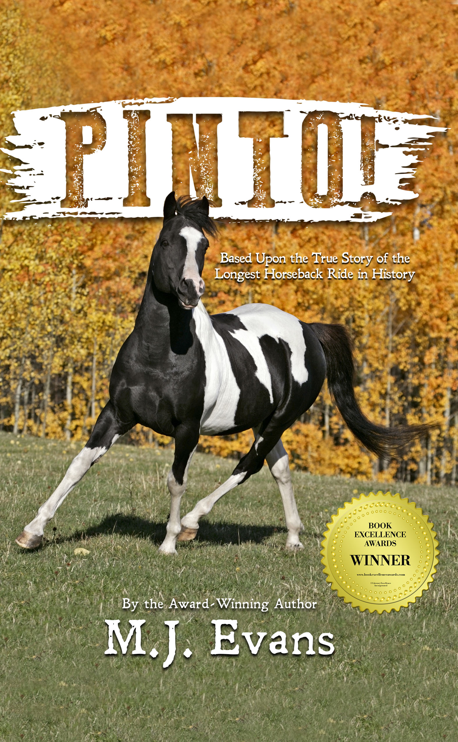 The cover depicts a black and white horse under the title banner: PINTO!