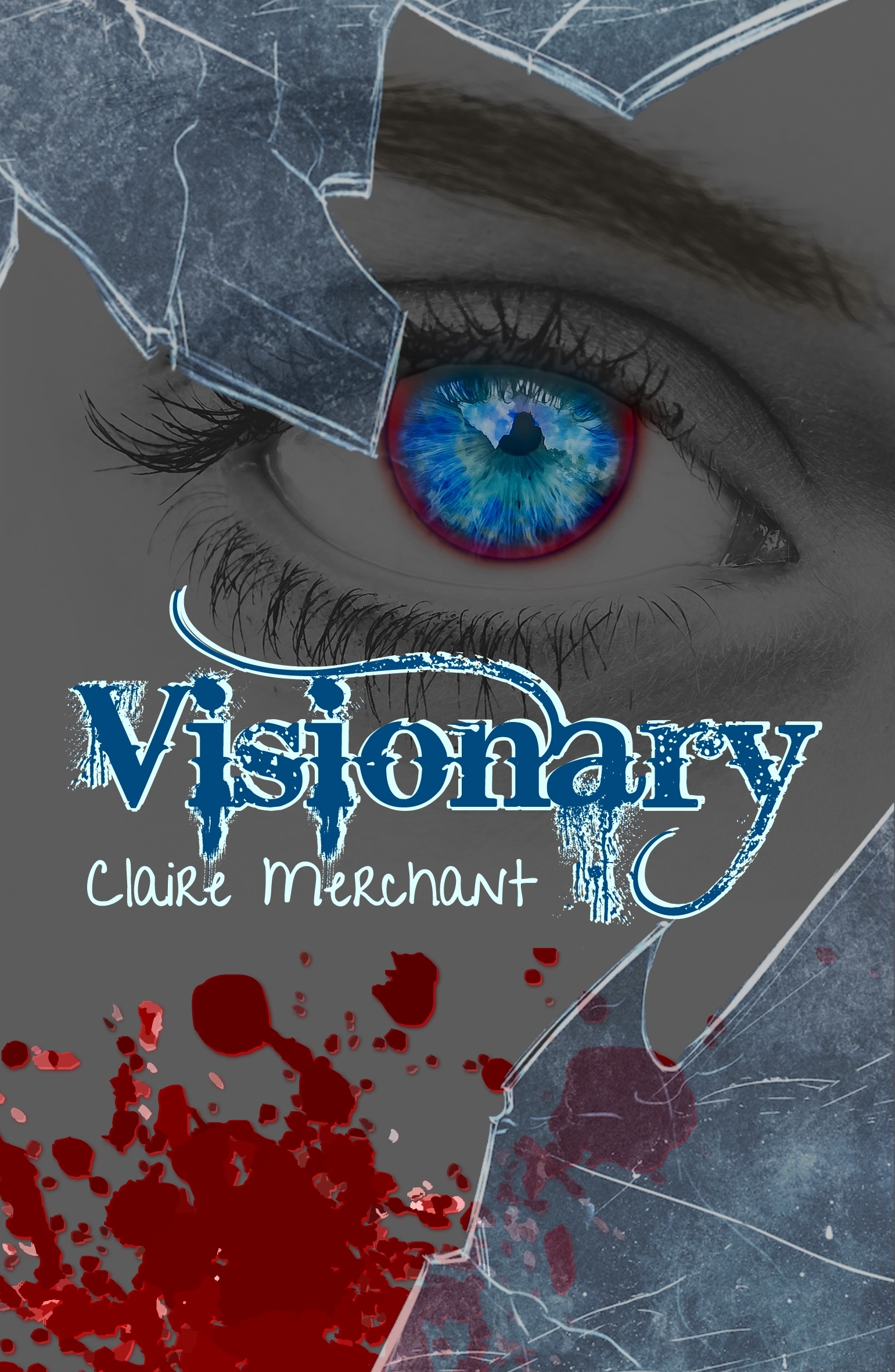 Book cover of Visionary by Claire Merchant