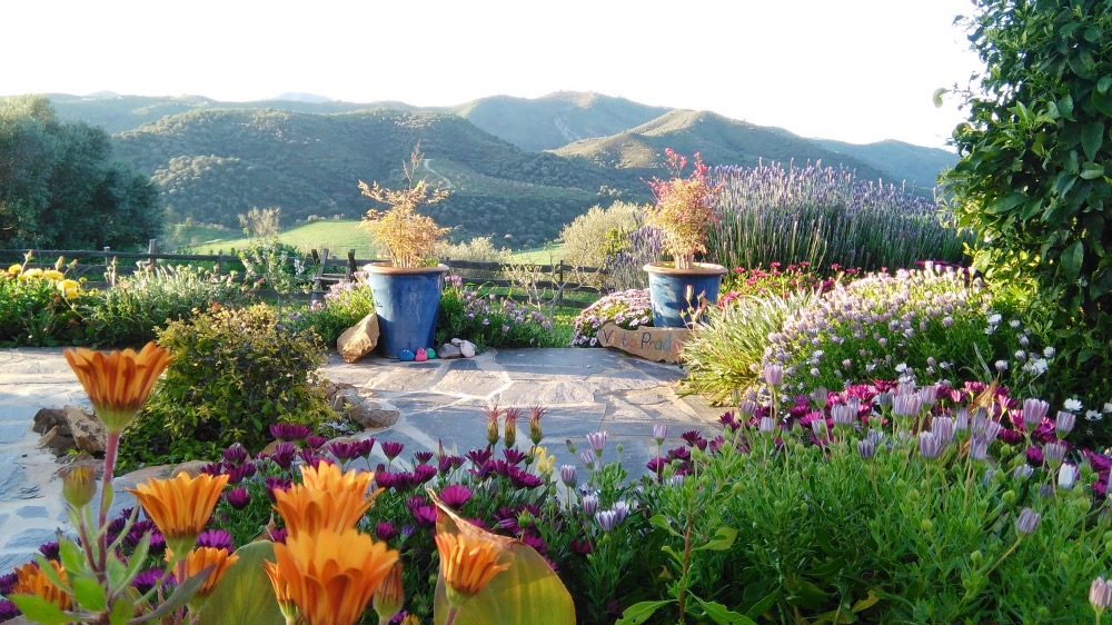 Secret World Retreat is an exclusive sanctuary designed for writers who need to escape the "noise" of daily life and fully immerse themselves in their craft.