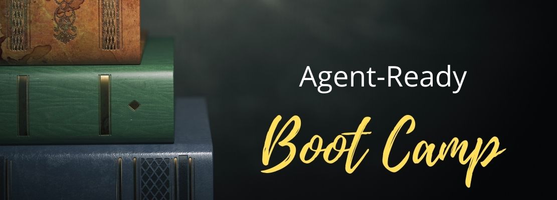Writing Workshop - Literary Agent Ready Boot Camp