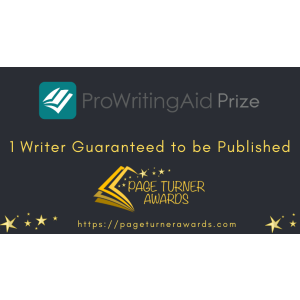 ProWritingAid Prize