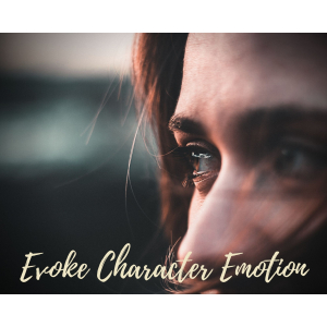 How to Evoke Character Emotion in Every Scene How to Evoke Character Emotion in Every Scene