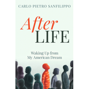AfterLIFE book cover
