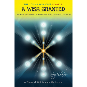 A Wish Granted cover image
