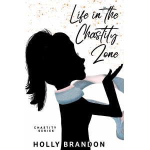 Life in the Chastity Zone book cover image.