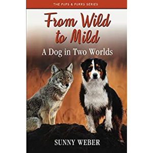 Kaya the dog with her mother Taina in the wild. Can Kaya forever straddle between the wild and the mild?