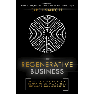 Black cover with copper and white print; foreword Michiel Bakker, VP Google, Cheryl Kiser, Lewis Institute, Babson College