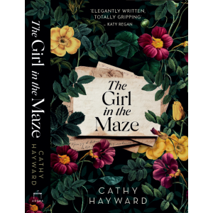 Book cover of The Girl in the Maze 