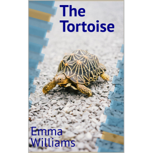 A black and yellow tortoise walks down a gravel path from right to left. The title The Tortoise is in blue font on top right corner. The author Emma Williams is in blue on bottom left.