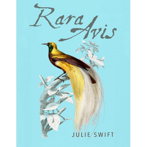 The image is of a Bird of Paradise to represent the "Rara Avis" title that actually refers to an architectural style, as well as the main character, in the book.