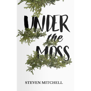  steven mitchell under the moss received a published deal after being a finalist in page turner awards writing contest