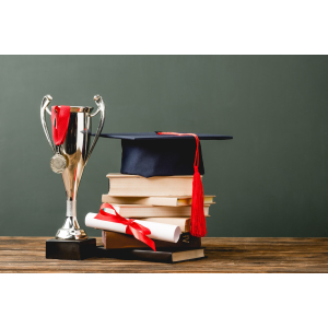 International Book Awards for Translated Works - Page Turner Awards