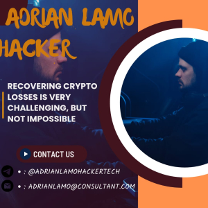 LOST MONEY WHILE TRADING? CONSULT ADRIAN LAMO HACKER.