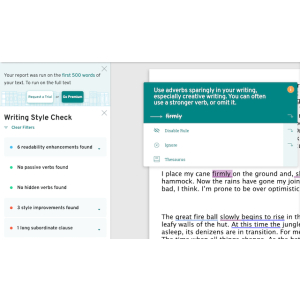 ProWritingAid ~ The Writing Tool That 'Really' Gets It