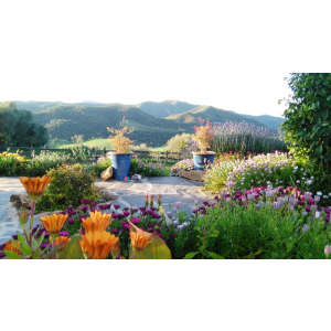 Secret World Retreat is an exclusive sanctuary designed for writers who need to escape the "noise" of daily life and fully immerse themselves in their craft.