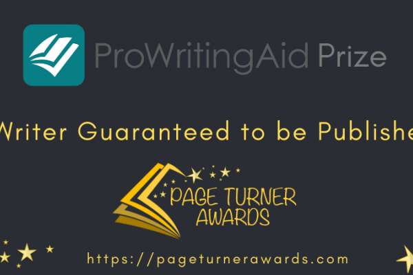 ProWritingAid Prize