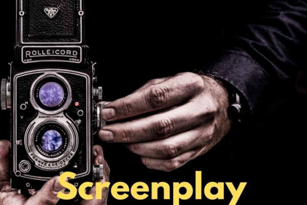 Screenplay critiques for screenwriters