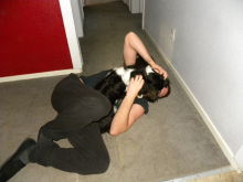 Profile picture for user Don Wilson