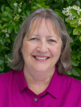 Profile picture for user Ana Nolan