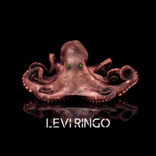 Profile picture for user Levi Ringo