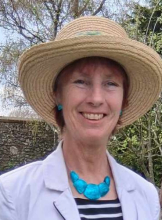 Profile picture for user DeborahJay